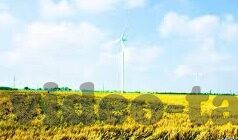 91国产麻豆传媒-91国产麻豆传媒现象，文化消费的另一面