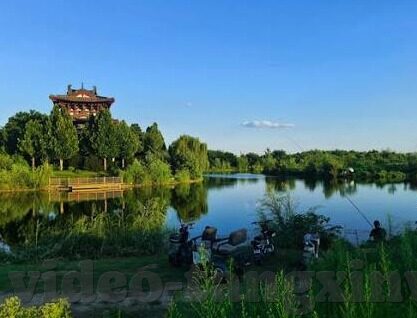 91麻豆国产一级毛片-变种谨慎，理性视界下的91麻豆国产一级毛片现象透视