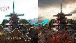 大象传媒app-探索大象传媒APP，数字时代的文化传播新阵地