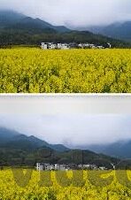久久精品国产亚洲av麻豆欧-探寻影视文化的多面性，百花齐放，允许多样