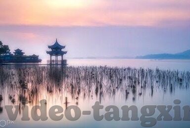 麻豆直播视频-01，一个直观了解现代网络文化的窗口
